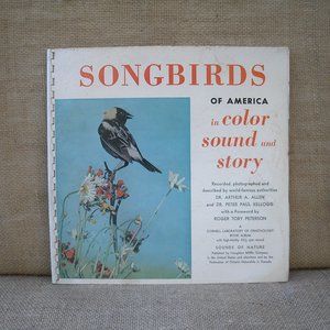 Vintage Songbirds of America in Color Sound & Story Book Record